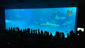 2学年沖縄修学旅行情報Vol.3