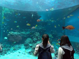 2学年沖縄修学旅行情報Vol.3