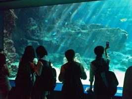 2学年沖縄修学旅行情報Vol.3