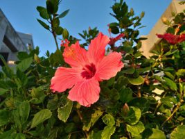 2学年沖縄修学旅行情報Vol.3