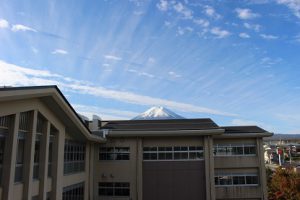 11月に入りました