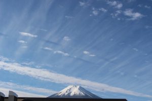 11月に入りました