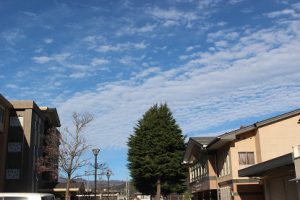 11月に入りました