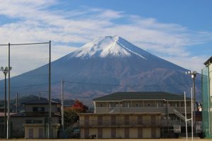 11月に入りました