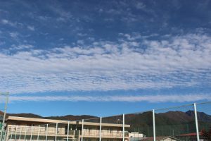 11月に入りました