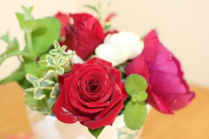 11月12日(月)今週も始まりました