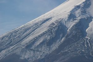 11月21日（水）今週も始まりました
