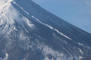 11月21日（水）今週も始まりました