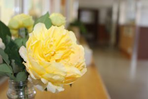 11月26日(月)今週も始まりました