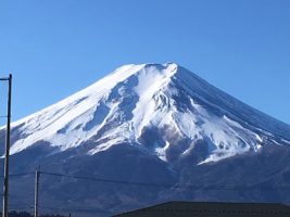 新年明けましておめでとうございます