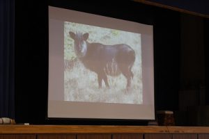 1学年総合的な学習の時間「富士山学」講演会が行われました