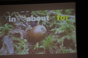 1学年総合的な学習の時間「富士山学」講演会が行われました
