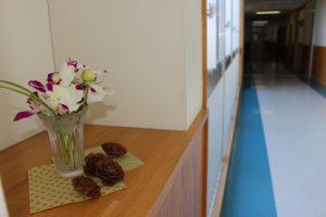 平成31年2月12日(火)今週も始まりました