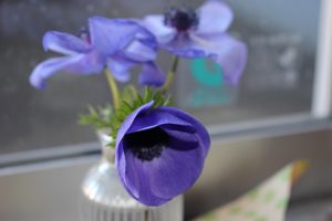 平成31年2月12日(火)今週も始まりました