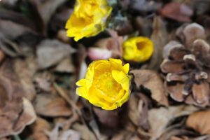 平成31年2月18日(月)今週も始まりました