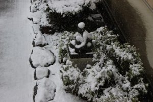 吉高の風景 癒やしの空間