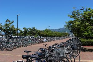 スポーツを「する　見る　支える」 第71回山梨県高等学校総合体育大会