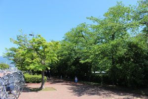 スポーツを「する　見る　支える」 第71回山梨県高等学校総合体育大会
