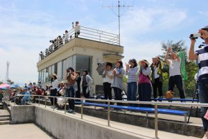 スポーツを「する　見る　支える」 第71回山梨県高等学校総合体育大会
