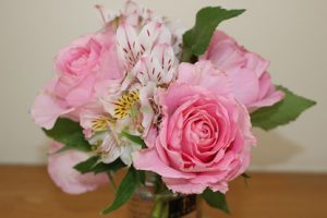 令和元年5月15日(水) 青葉若葉の季節です