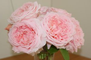 前期第1回試験前週間です