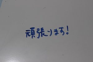 令和元年 富士山の農鳥