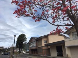 令和元年始まりました