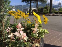 前期第1回試験前週間です