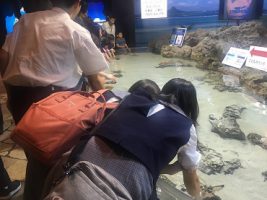 令和元年度2学年沖縄修学旅行情報Vol.4