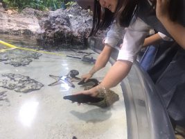 令和元年度2学年沖縄修学旅行情報Vol.4