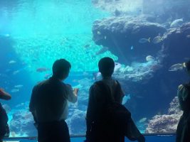 令和元年度2学年沖縄修学旅行情報Vol.4