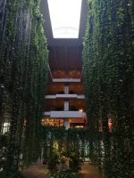 令和元年度2学年沖縄修学旅行情報Vol.5