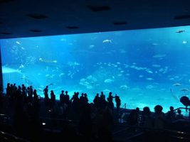 令和元年度2学年沖縄修学旅行情報Vol.4