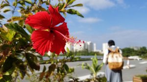 令和元年度2学年沖縄修学旅行情報Vol.7