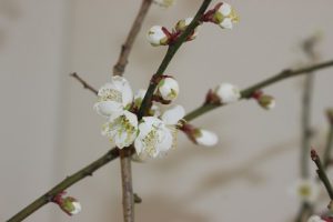 令和２年２月３日（月）今週も始まりました