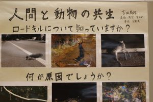 令和元年度 第２学年総合的な学習の時間「富士山学」研究発表会が行われました