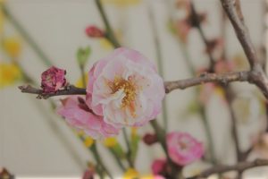令和元年度 3学年離任式を行いました