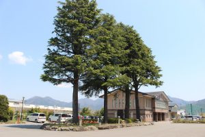吉高の風景～ほっこりしてみましょう編～