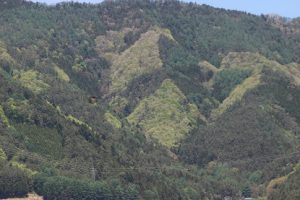 令和２年５月１１日（月）今週も始まりました