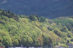 令和２年５月１１日（月）今週も始まりました