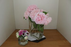 令和２年６月８日（月）今週も始まりました