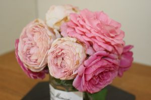 明日６月２７日（土）定期試験前のオープンスタディーです