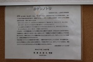 疫病退散「ヨゲンノトリ」がお目見えしました