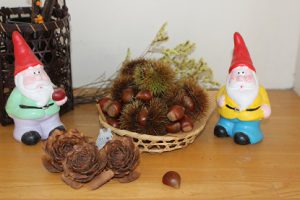 自分磨きのヒントと仲間の応援が力になる