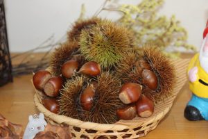 自分磨きのヒントと仲間の応援が力になる