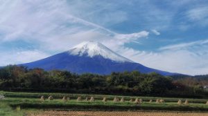 令和2年10月19日(月)今週も始まりました