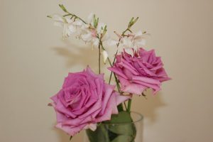令和2年10月5日(月)今週も始まりました