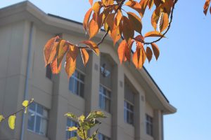 令和2年11月4日（水）爽やかな秋晴れの日です