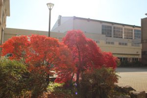 令和2年11月16日（月）今週も始まりました