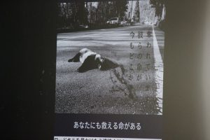 令和2年度 富士山学Ⅱ 全体発表会が行われました